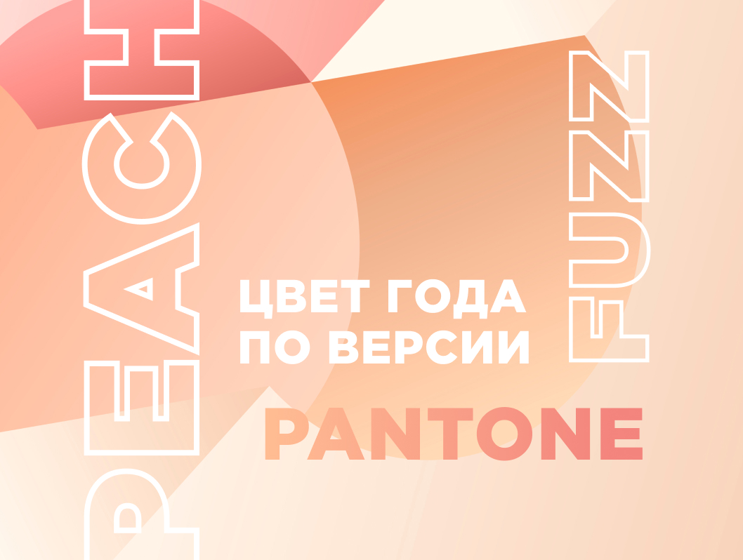 Цвет года по версии Pantone — как выбирают актуальный оттенок и зачем это делают