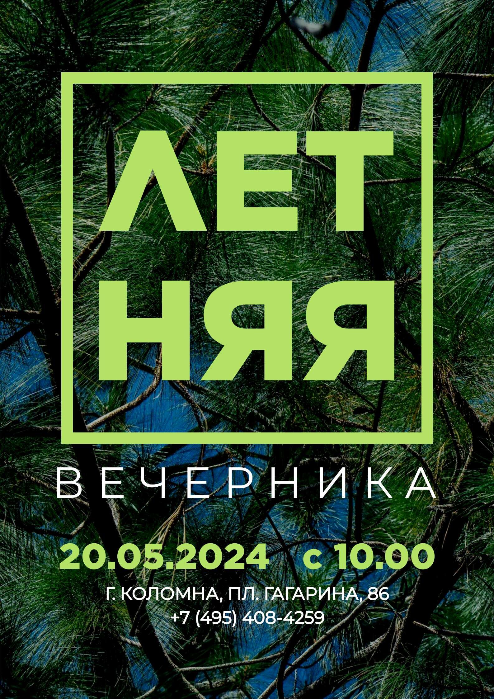 Зеленый минималистичный плакат с приглашением на вечеринку