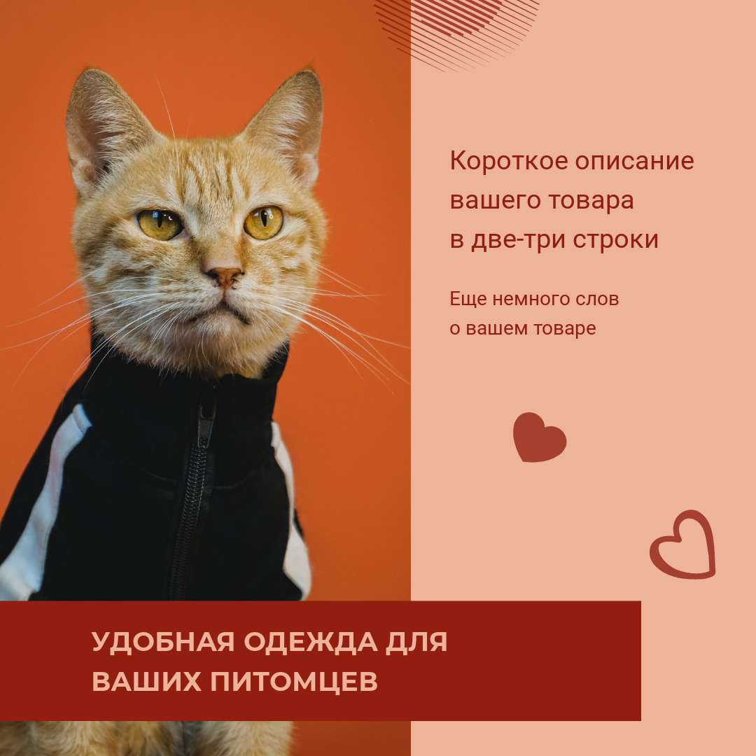 Забавный оранжево-красный пост с рыжим котиком в свитере для рекламы одежды для животных