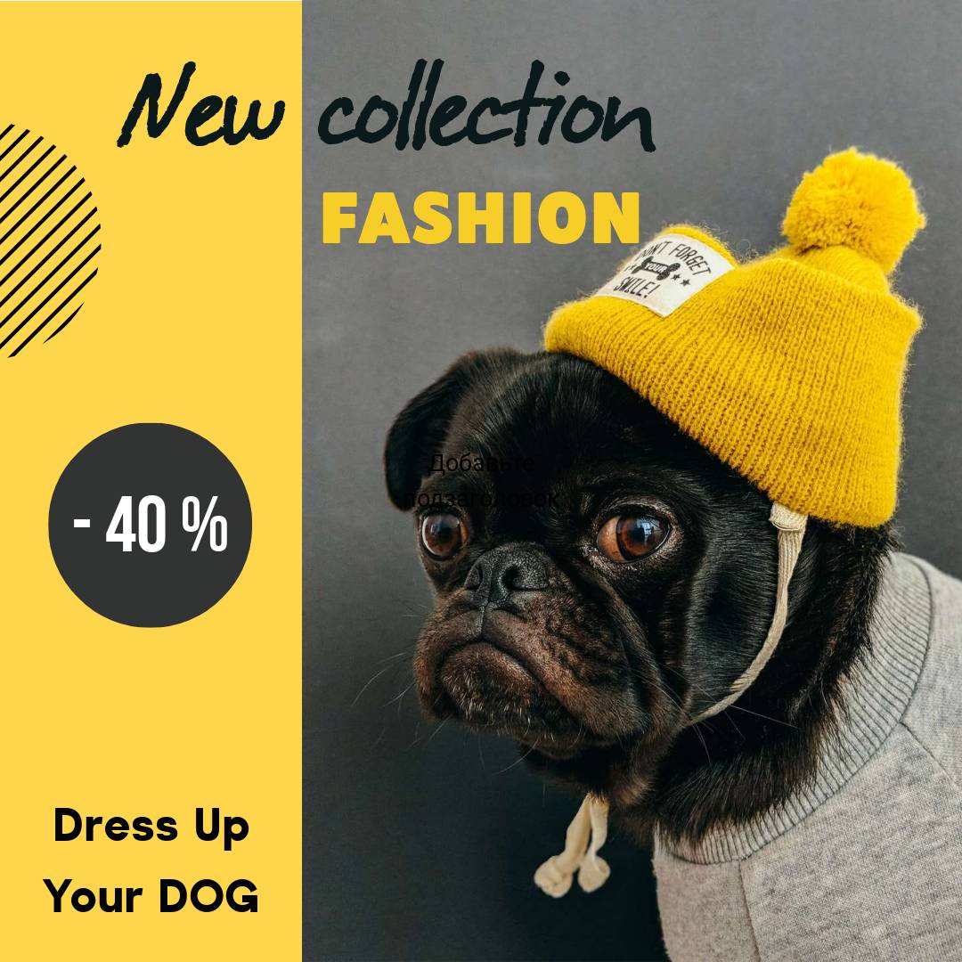 Желто-серый пост с милой собакой породы французский бульдог в теплой одежде для рекламы новой коллекции со скидкой 40%