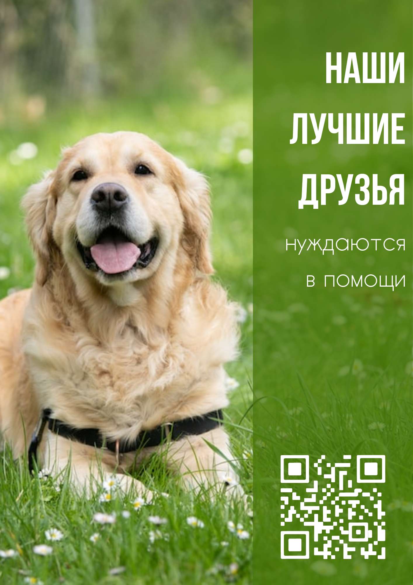 Зеленый классический флаер для благотворительного сбора средств