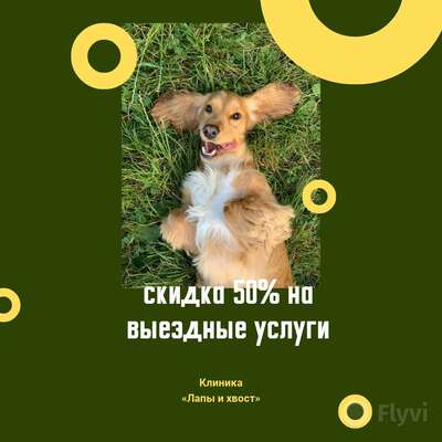 Темно-зеленый пост для IG где забавная собака лежит в траве для рекламы ветеринарной клиники и услуг для животных