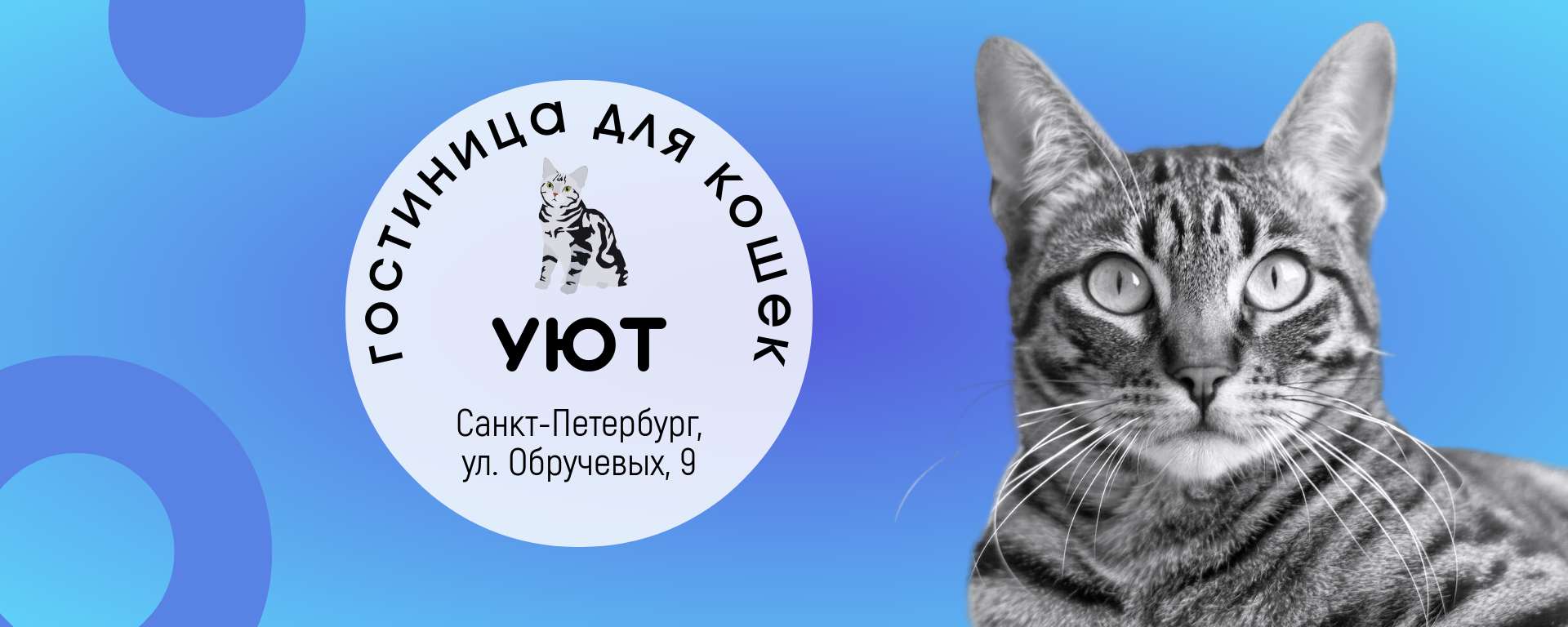 Голубая обложка сообщества Вконтакте с фотографией кота гостиница для кошек  | Flyvi