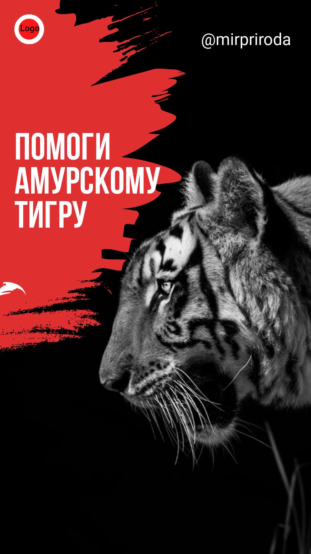 Контрастный красно-черный сторис с крупным портретом амурского тигра в профиль
