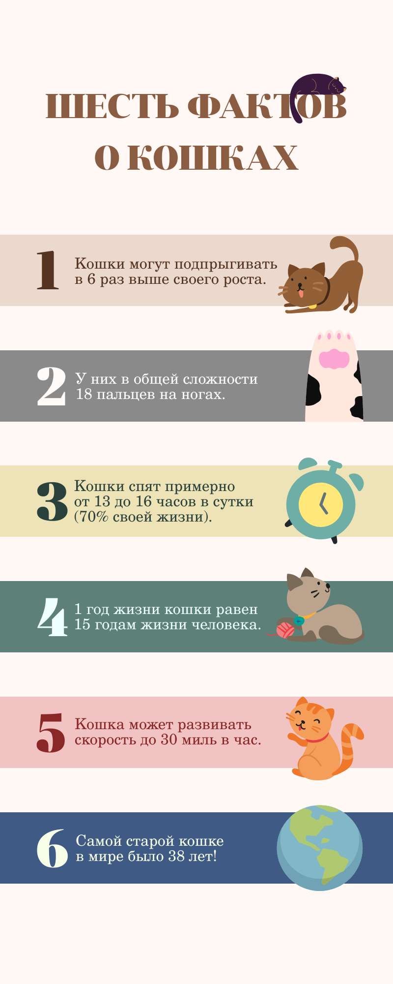 Иллюстрированный светлый список топ-6 фактов о кошках