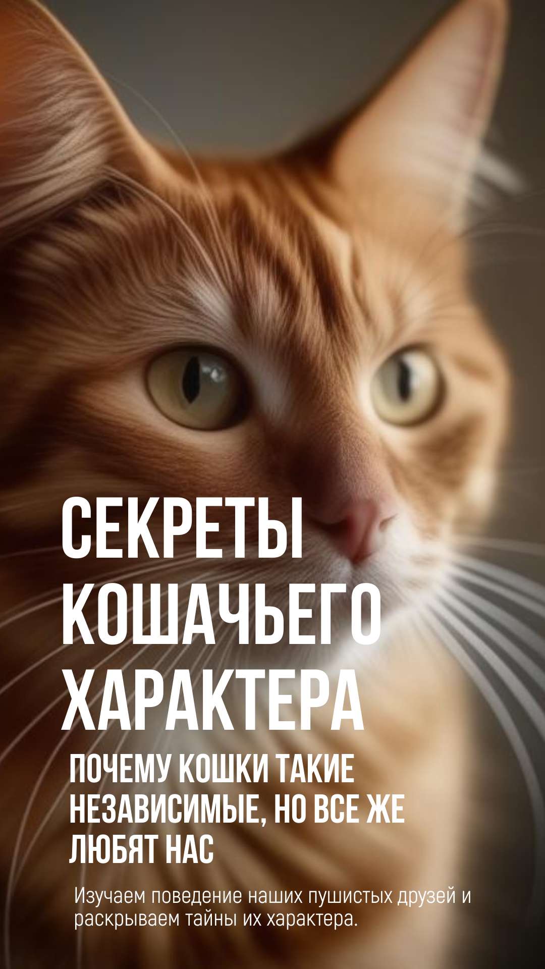 Вертикальная презентация о кошках с современными изображениями