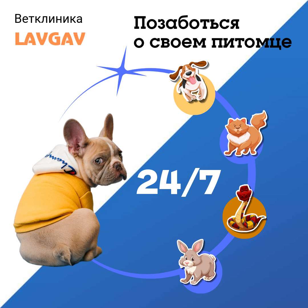 Бело-синий пост для Инстаграм с милым щеночком французского бульдога в желтой толстовке