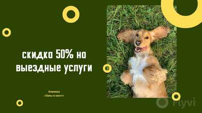 Милый пост для FB со скидкой 50% на выезд ветеринара на дом с фото веселой собаки на темно-зеленом фоне с желтыми кругами