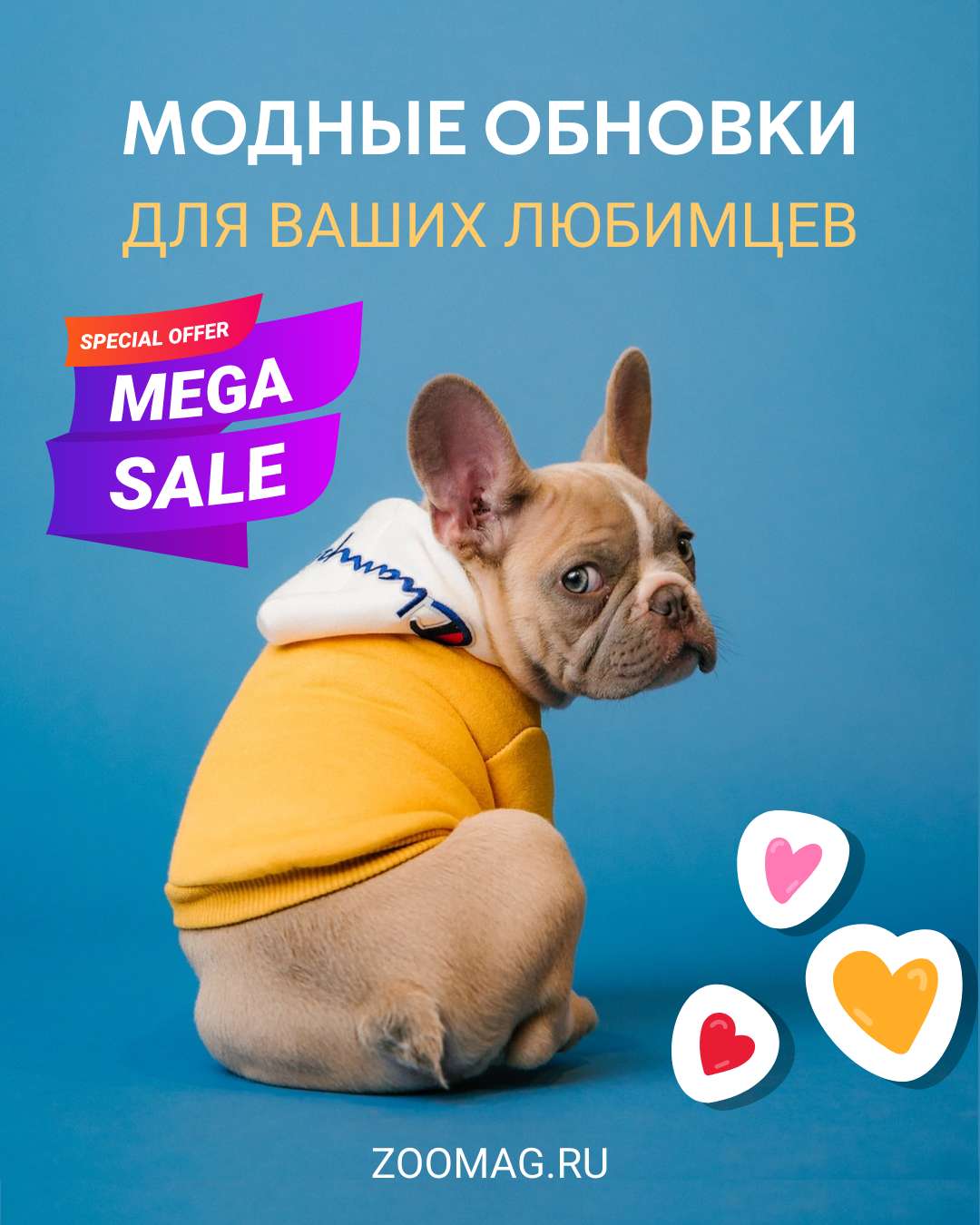 VK Реклама в ярких цветах, одежда для домашних животных