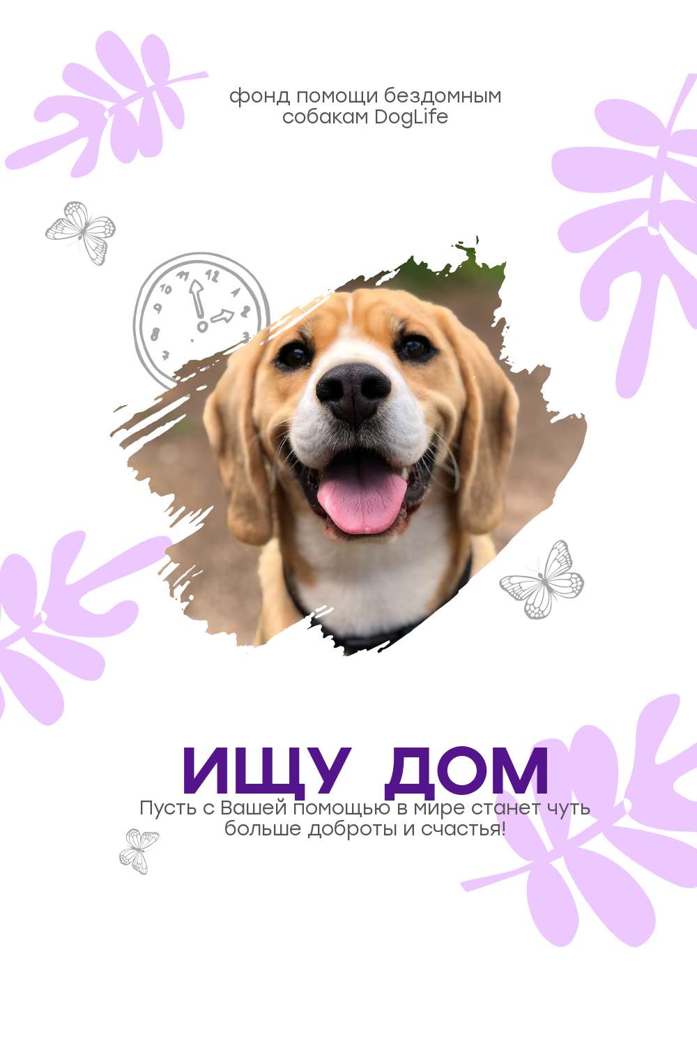 Симпатичный постер для фонда помощи бездомным животным с бело-фиолетовым оформлением и фото