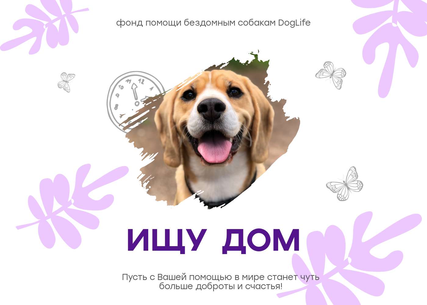 Симпатичная публикация для фонда помощи бездомным животным с бело-фиолетовым оформлением и фото