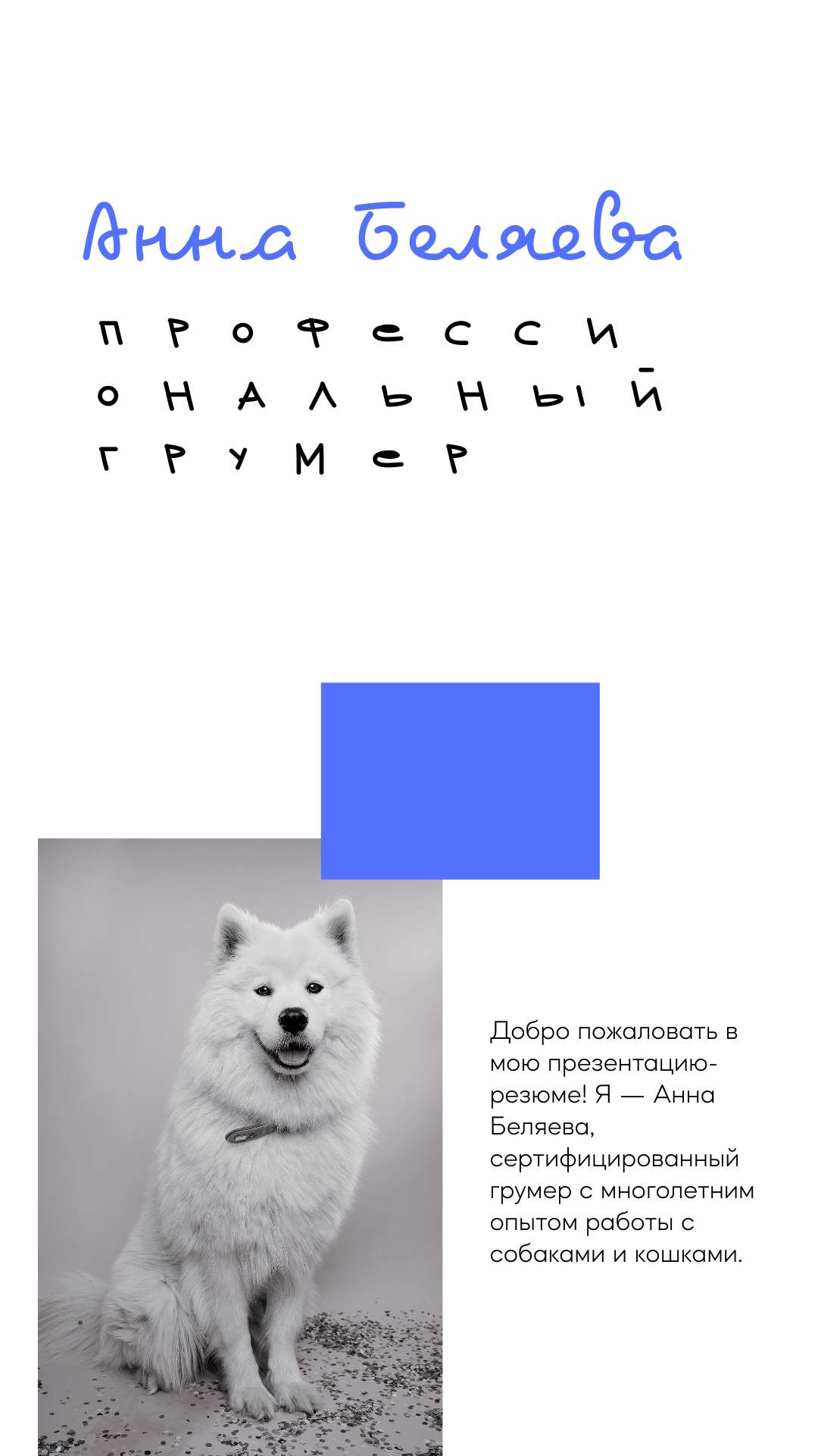 Вертикальная презентация для резюме профессионального грумера с черно-белыми фотографиями собак