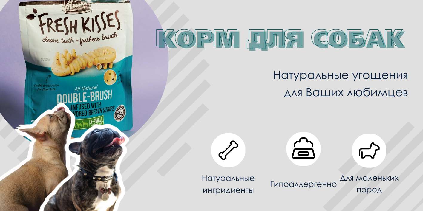 Рич-контент для озона, инфографика для товаров для животных