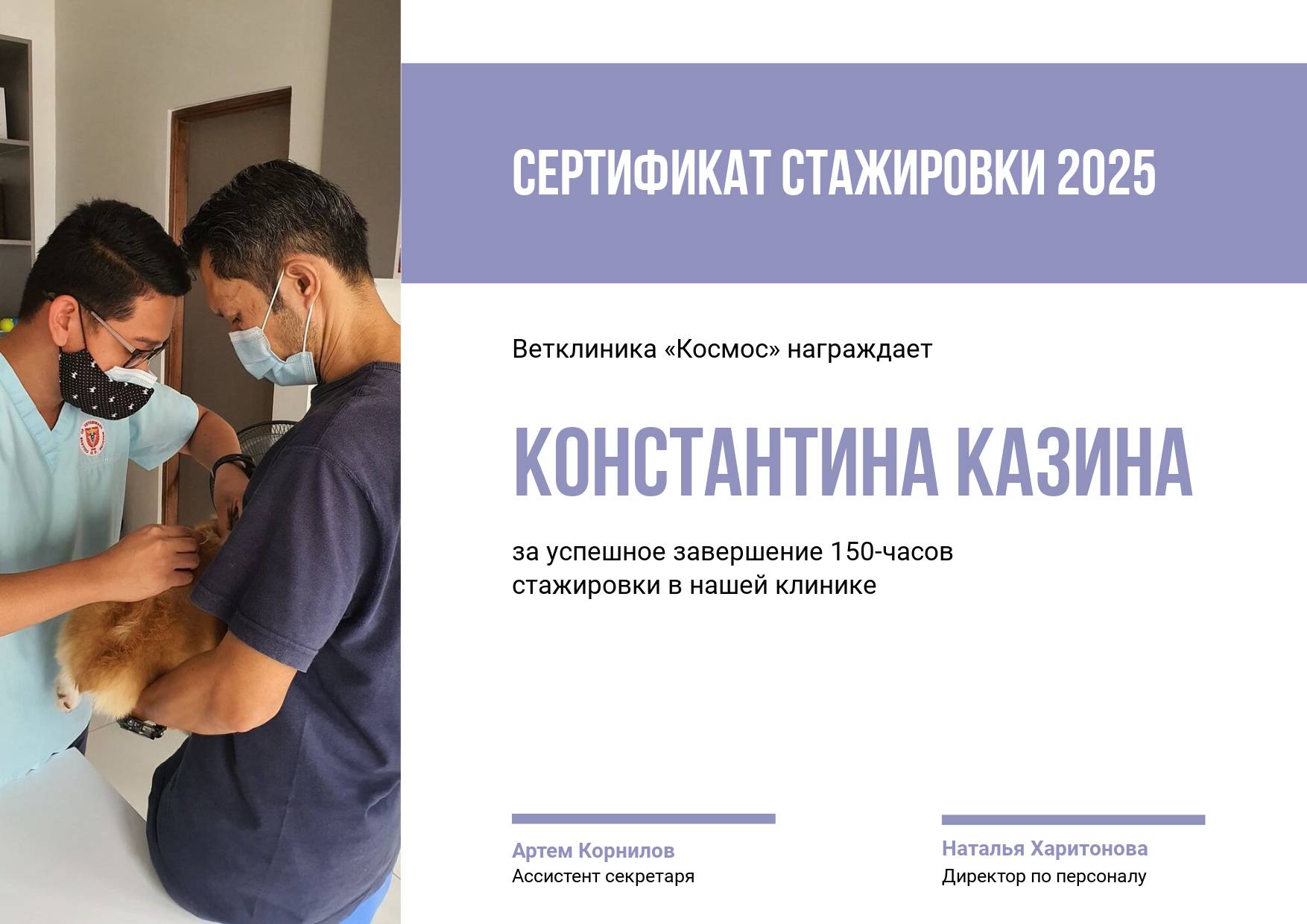 Сертификат в светло фиолетовом цвете о стажировке в ветеринарной клинике с фото и готовым заголовком и текстом