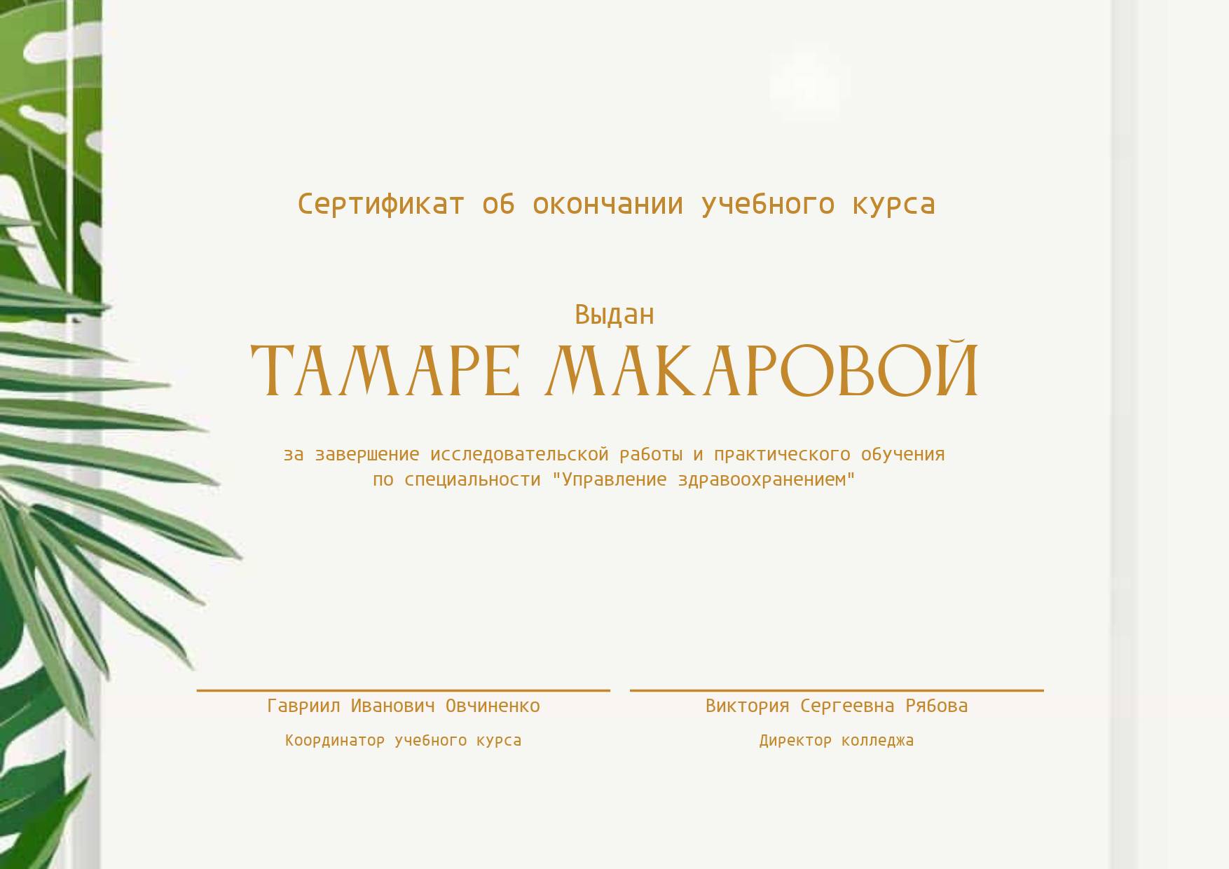 Тропический сертификат с листьями монстеры и папоротника для завершения учебного курса в любой дисциплине