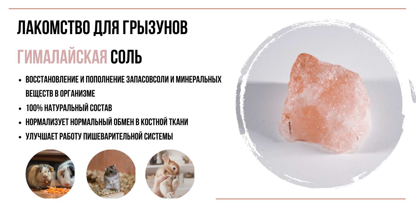 Рич-контент OZON. Гималайская соль для грызунов.
