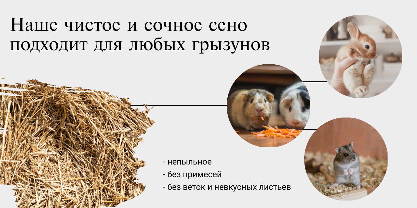 Рич-контент OZON. Сено для кроликов, морских свинок, хомяков.
