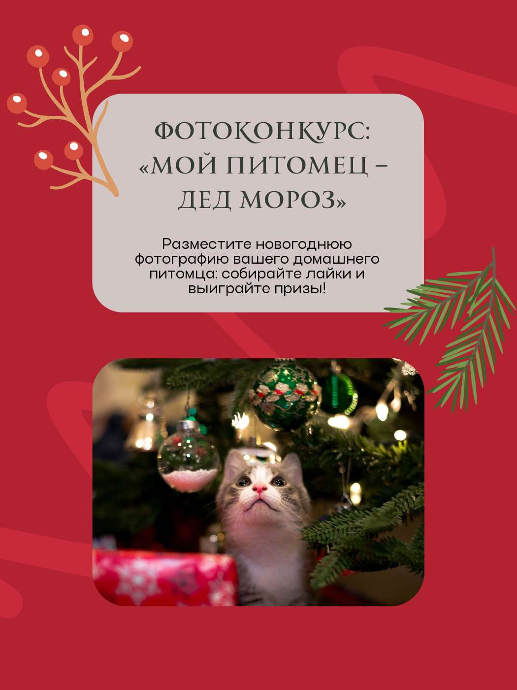 Пост фотоконкурс с милым новогодним котиком под елкой в свете гирлянды