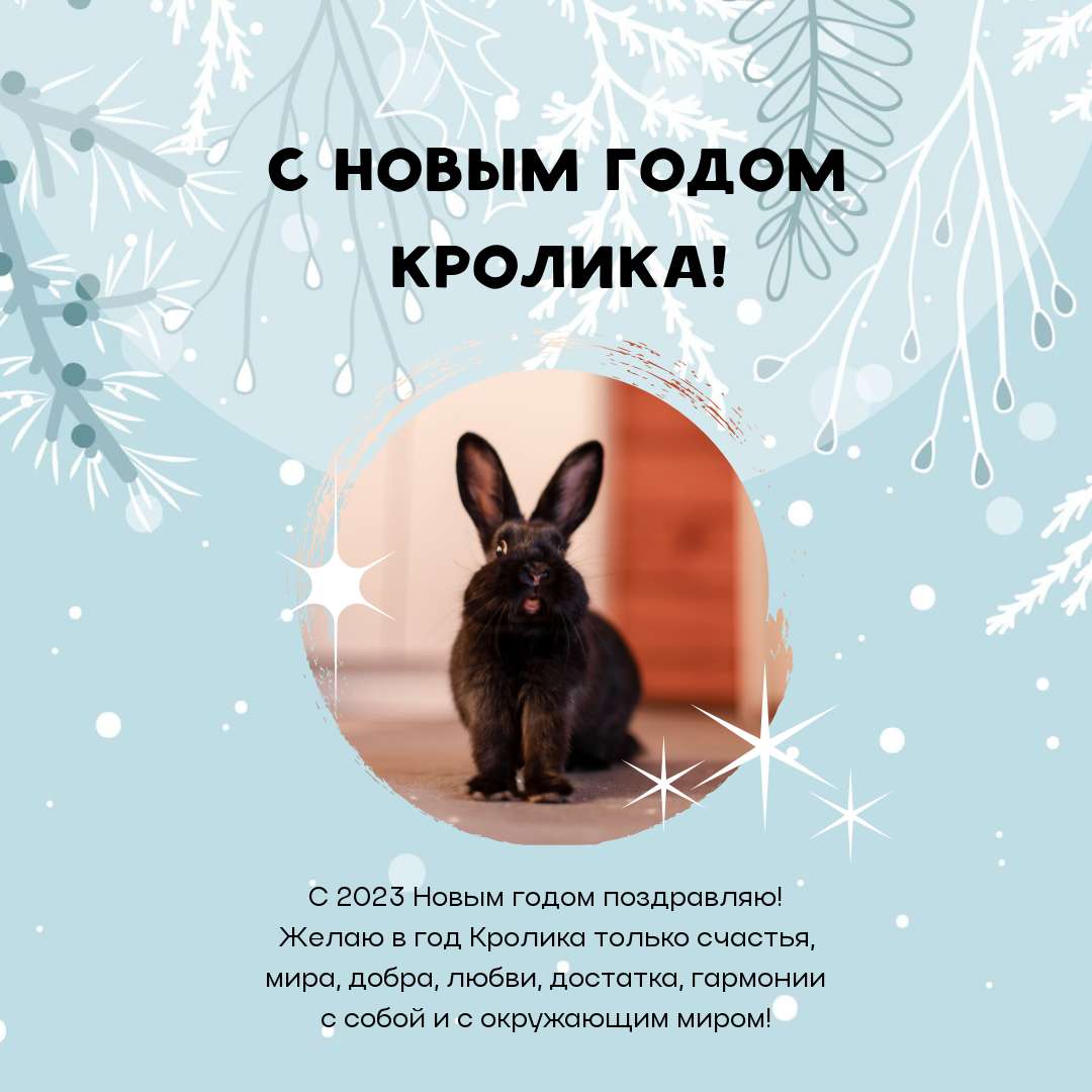 Актуальный пост для поздравления с Новым годом черного кролика 2023