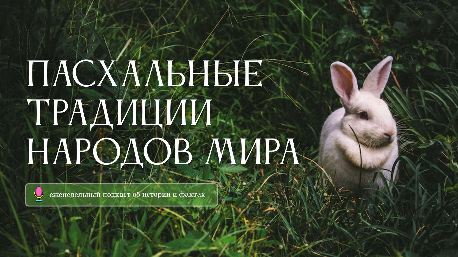 Зеленая и Белая Минималистичная Обложка VK видео про Пасхальные Традиции