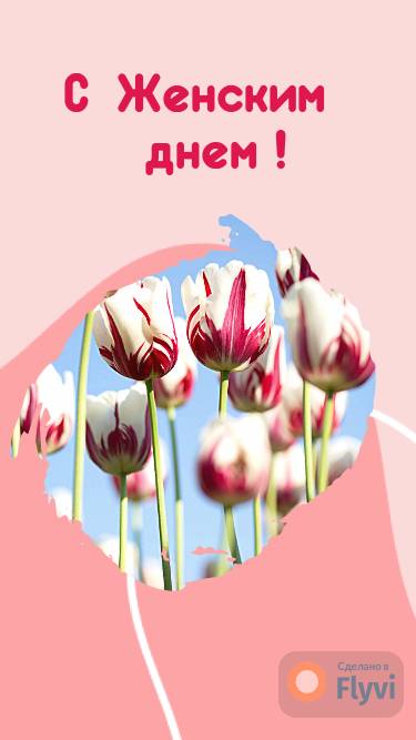 Ярко-розовый сторис с пестрыми тюльпанами для поздравления с 8 марта