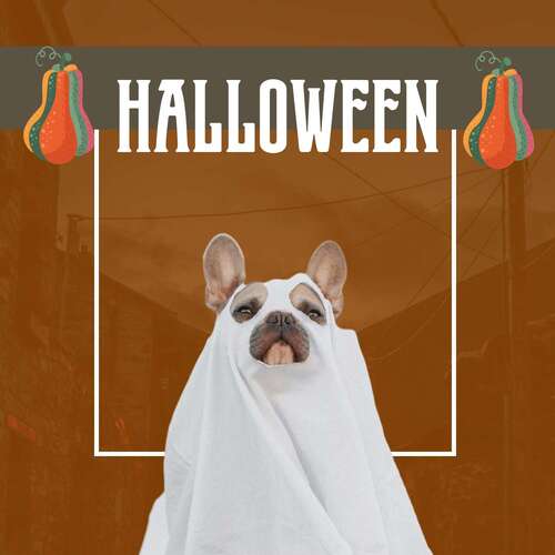Смешная открытка на Хеллоуин с нарисованными тыквами и собака в костюме призрака