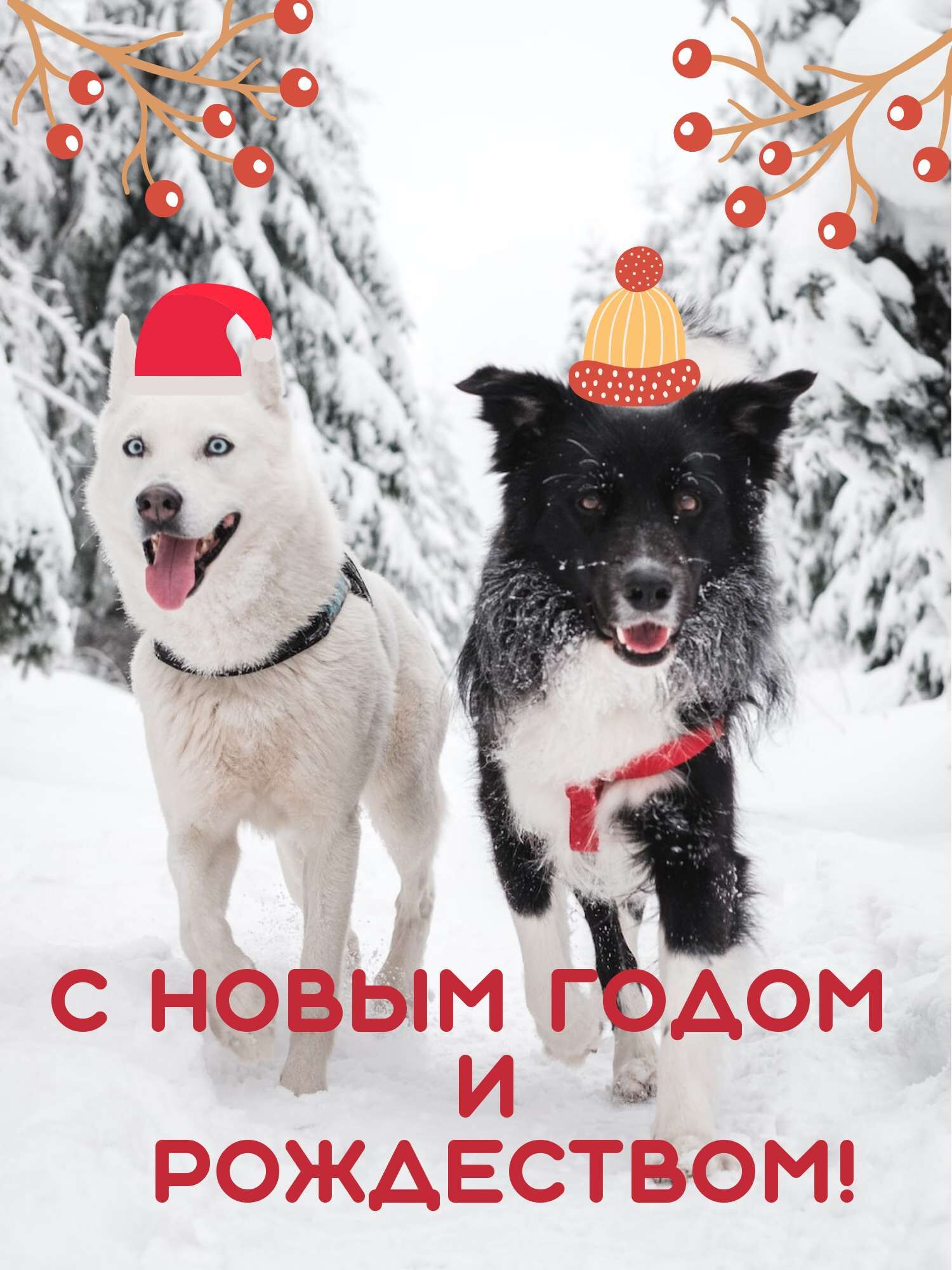 Новые открытки с собаками года с Днём рождения - Страница 11