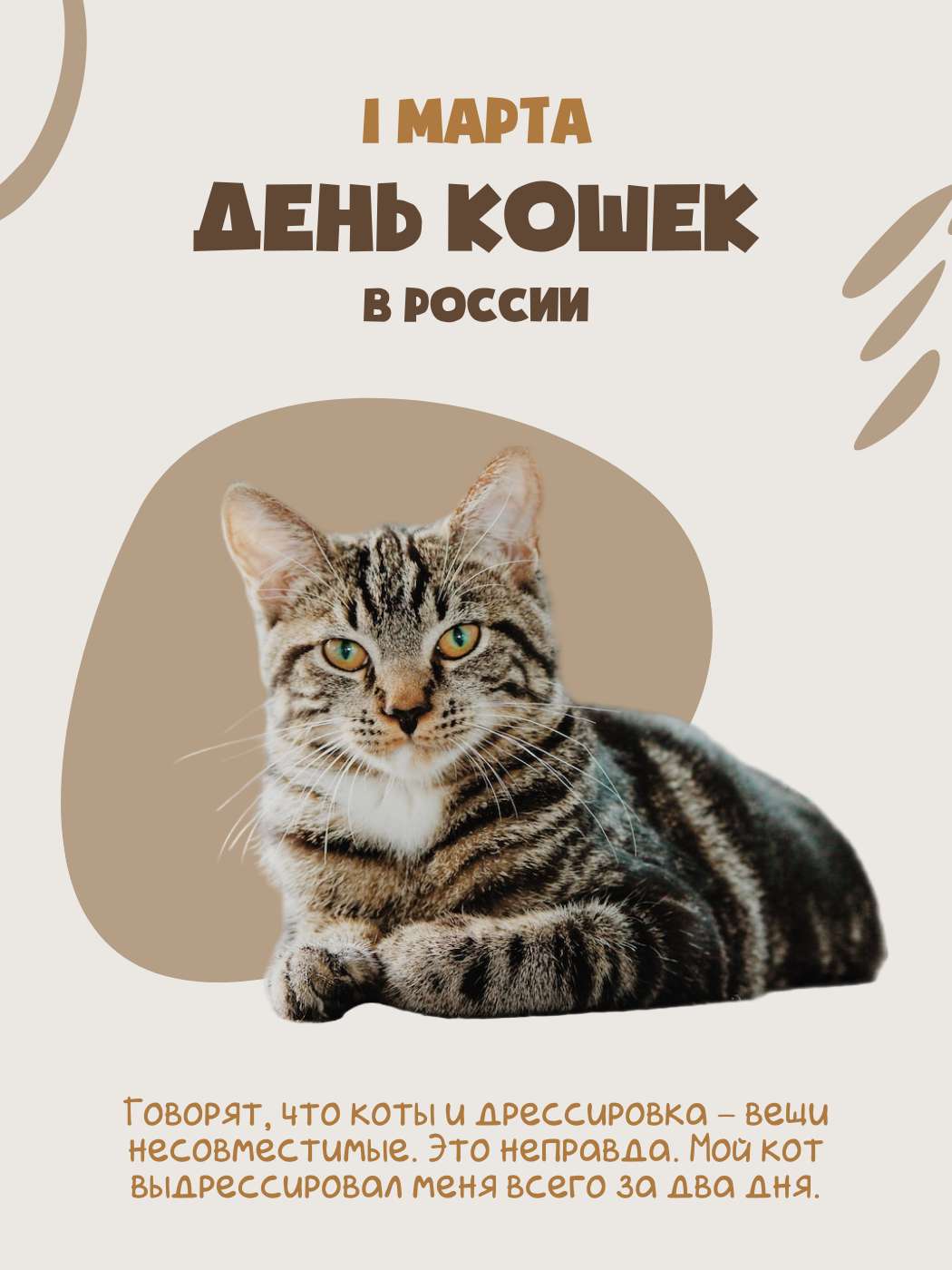 Вертикальный пост для ВКонтакте с полосатым котом