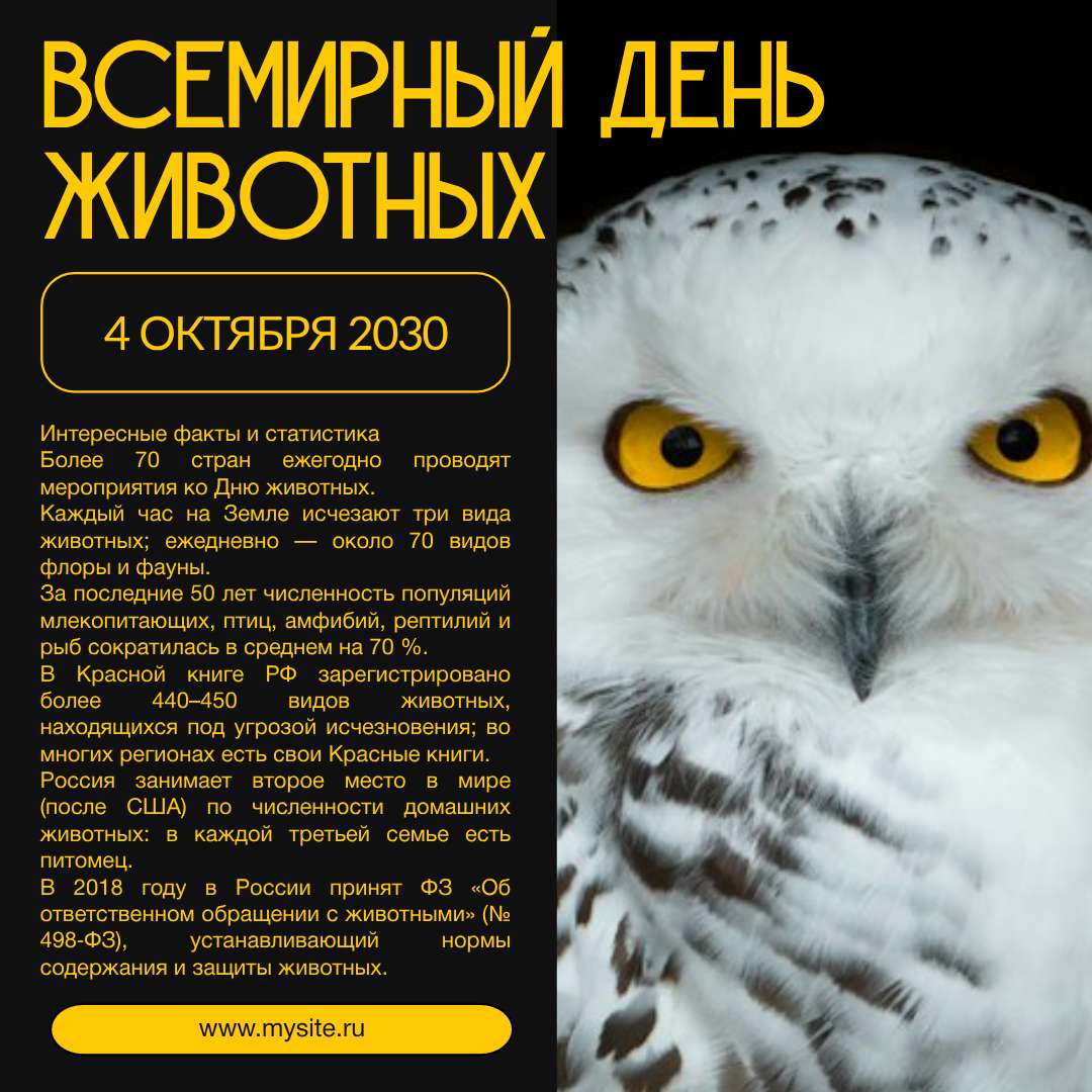 Черный и Желтый Минималистичный Пост Вконтакте Всемирный День Животных