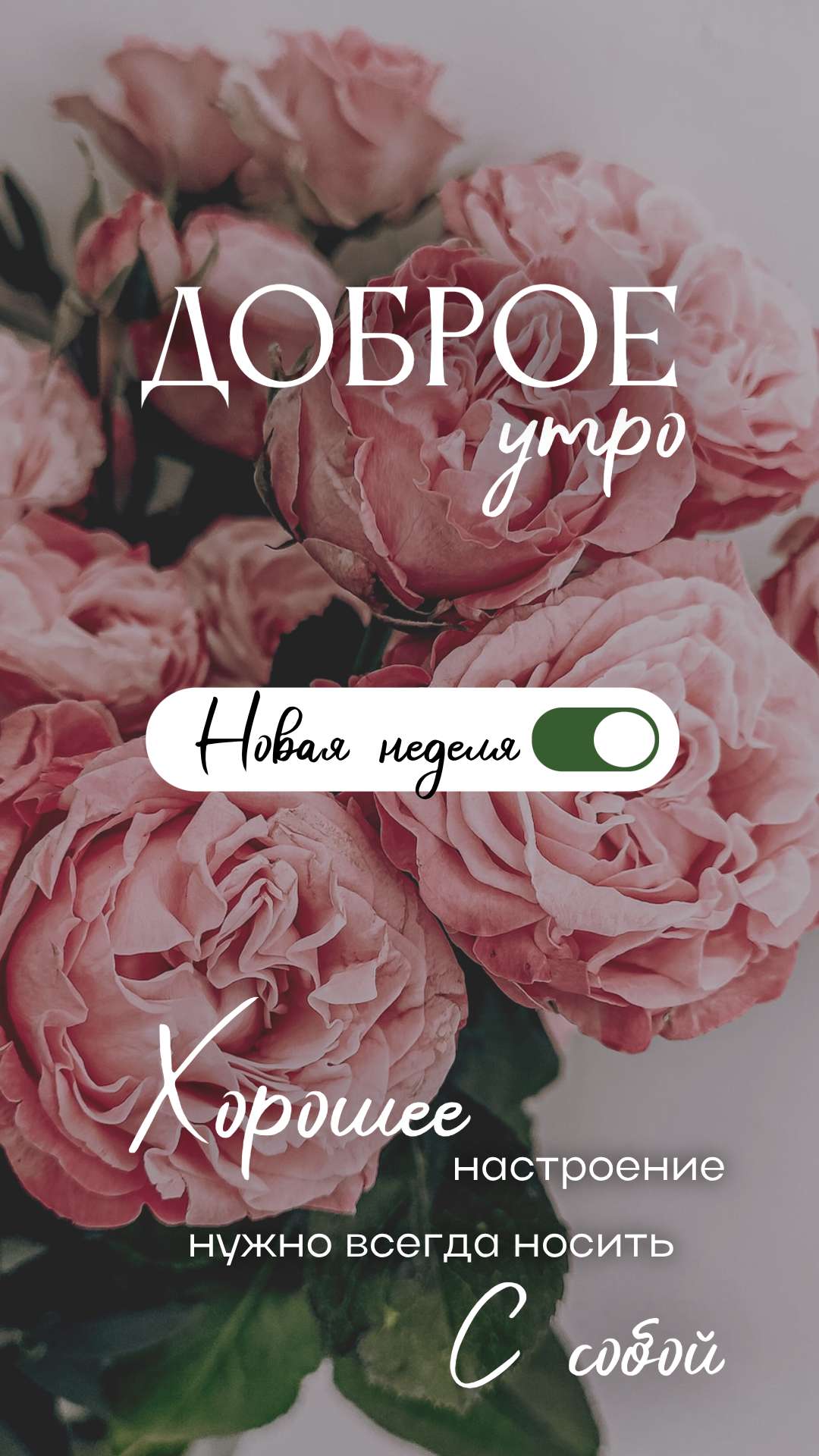 Открытка, пост, сторис, история для ВК на фоне цветов на тему: Доброе утро.