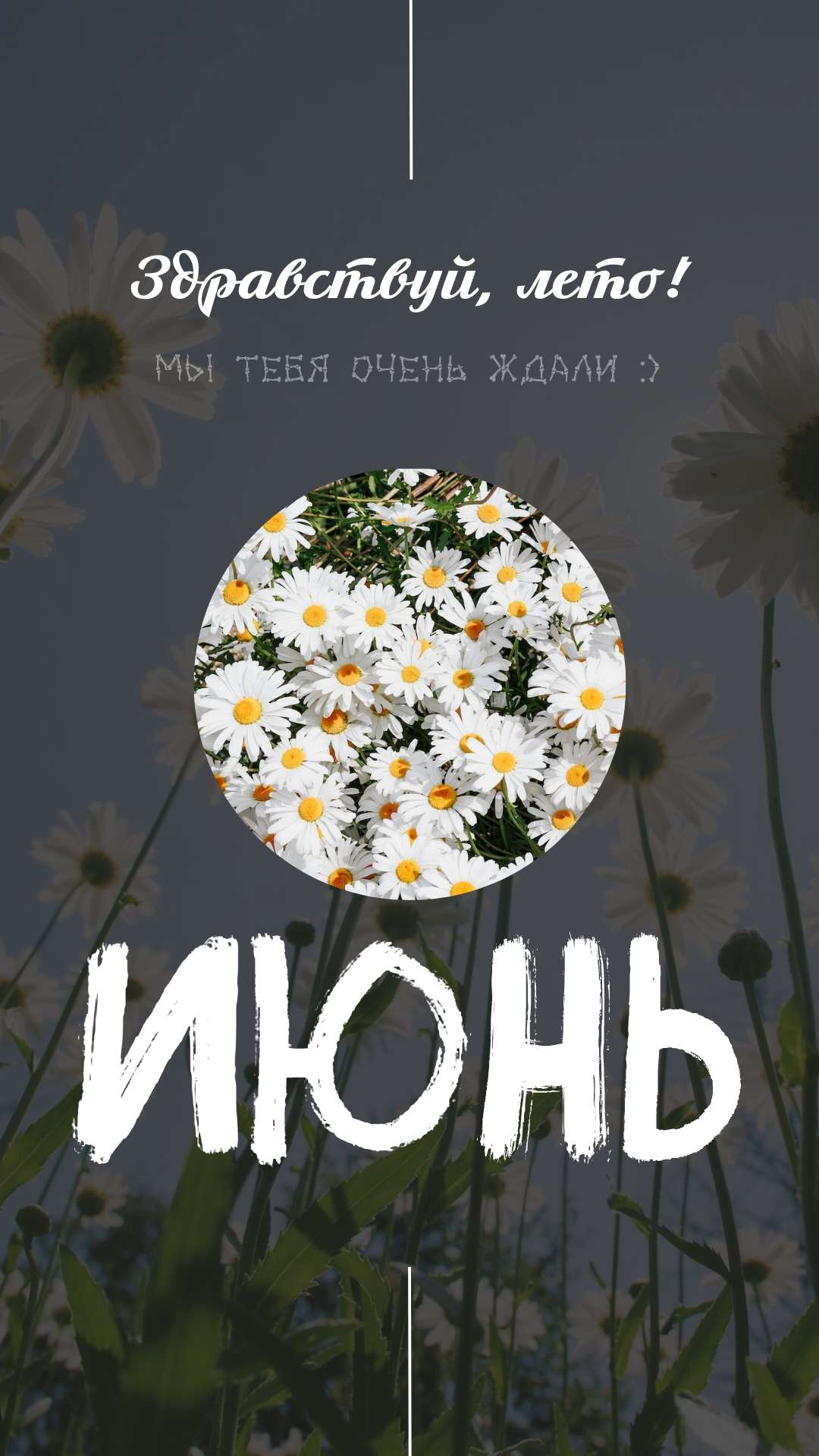 Затемненный шаблон сторис Инстаграм с надписью здравствуй лето