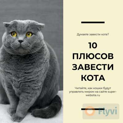 Милый пост с британским котиком 10 плюсов завести кота для сайта товаров для животных
