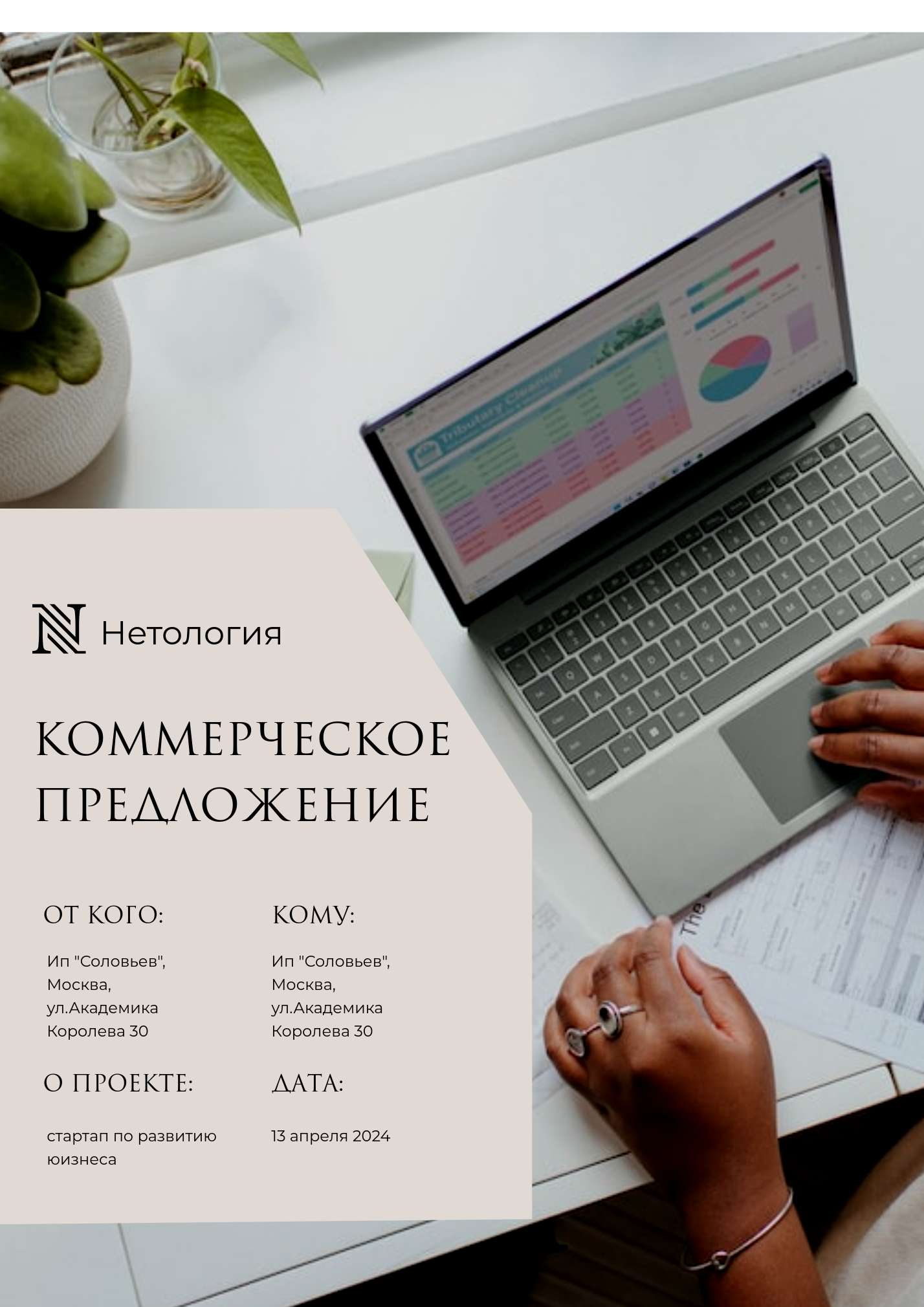 Коммерческое предложение в стиле эстетика
