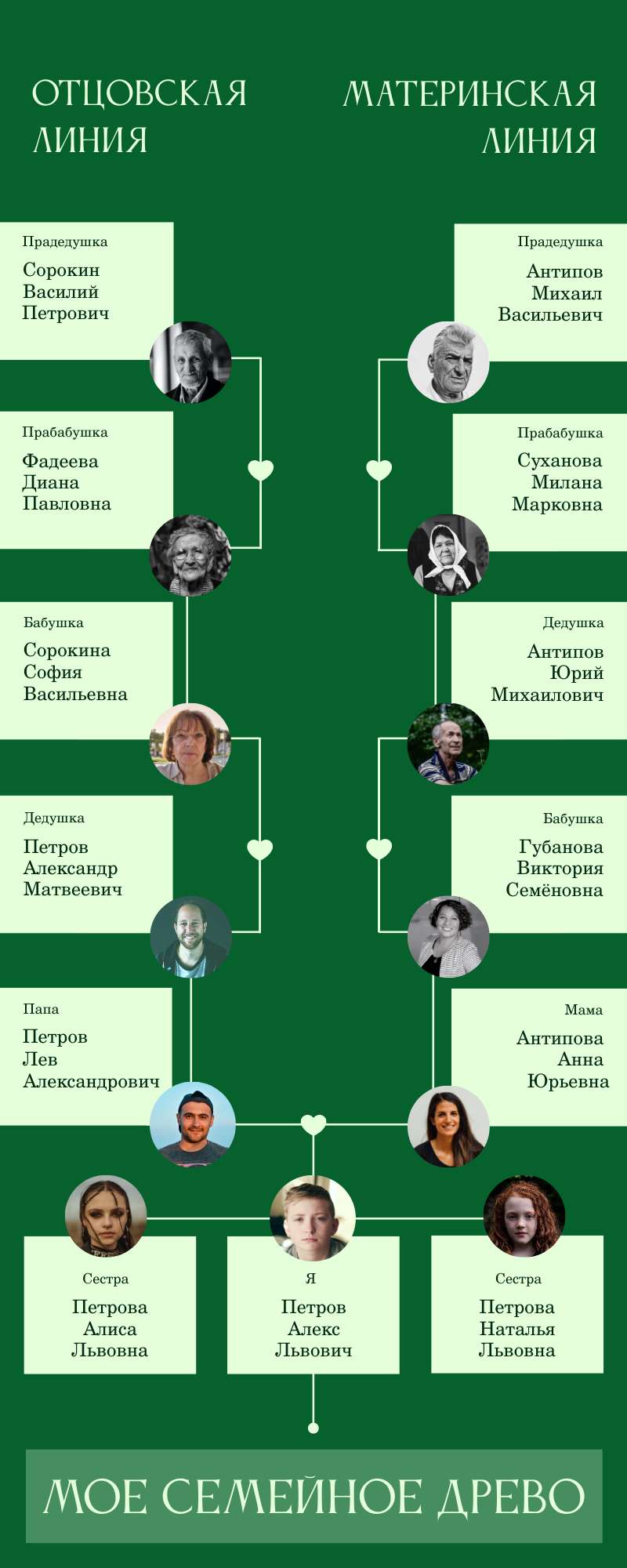 Зеленая минималистичная инфографика о семейном древе