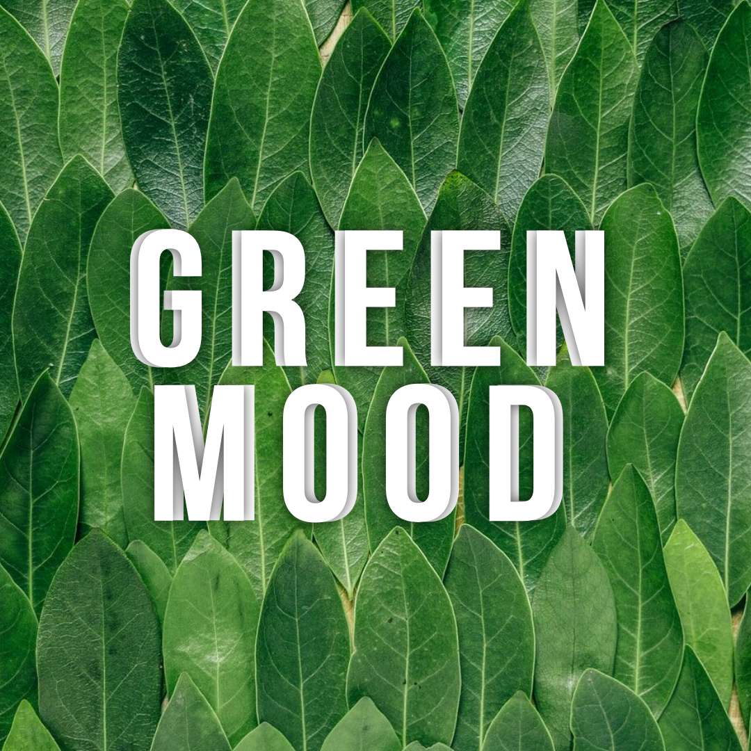 Сочный зеленый пост с выложенными на фоне листьями и белым крупным шрифтом