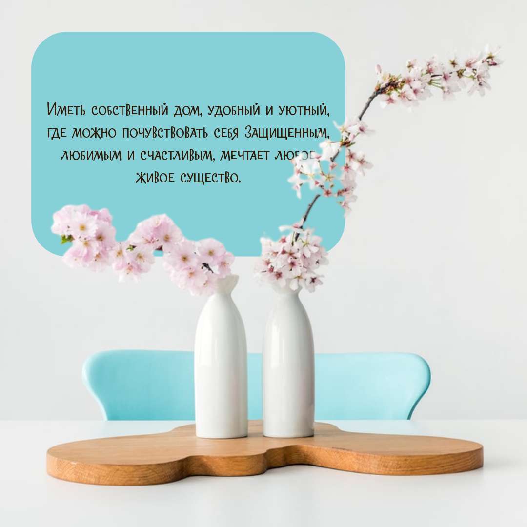 Бело-бирюзовый пост в стиле минимализм с двумя керамическими вазами на деревянной подставке и цитатой