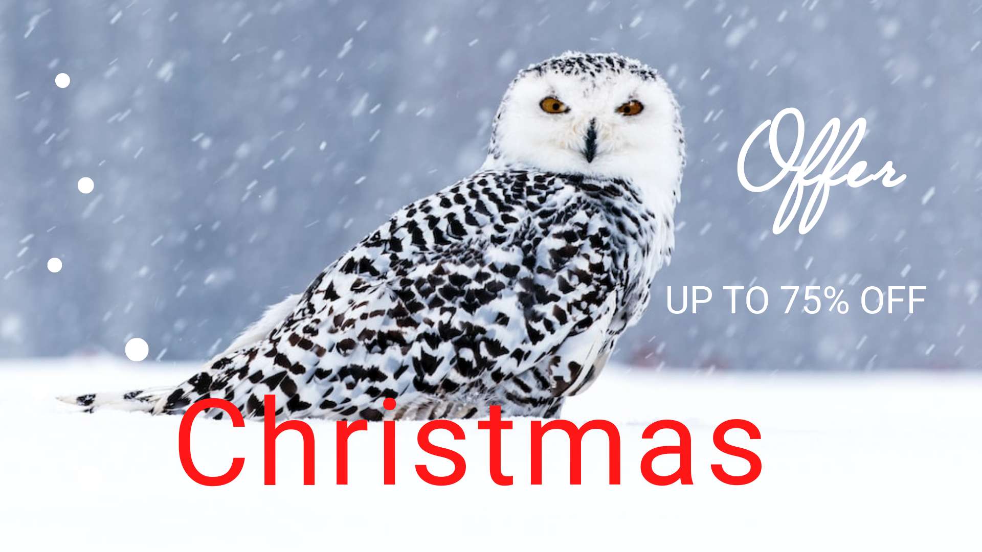 Рождественская зимняя презентация распродажи новогодних товаров с полярной совой