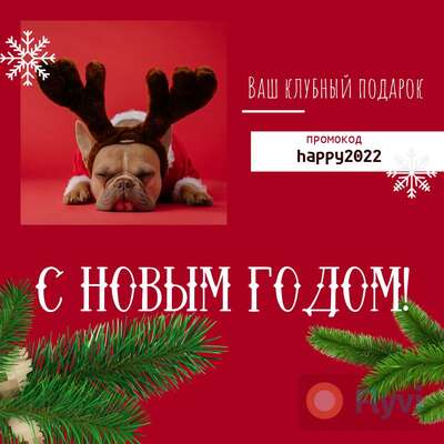 Темно красный пост для соцсетей С Новым годом с милым щенком французского бульдога в костюме оленя