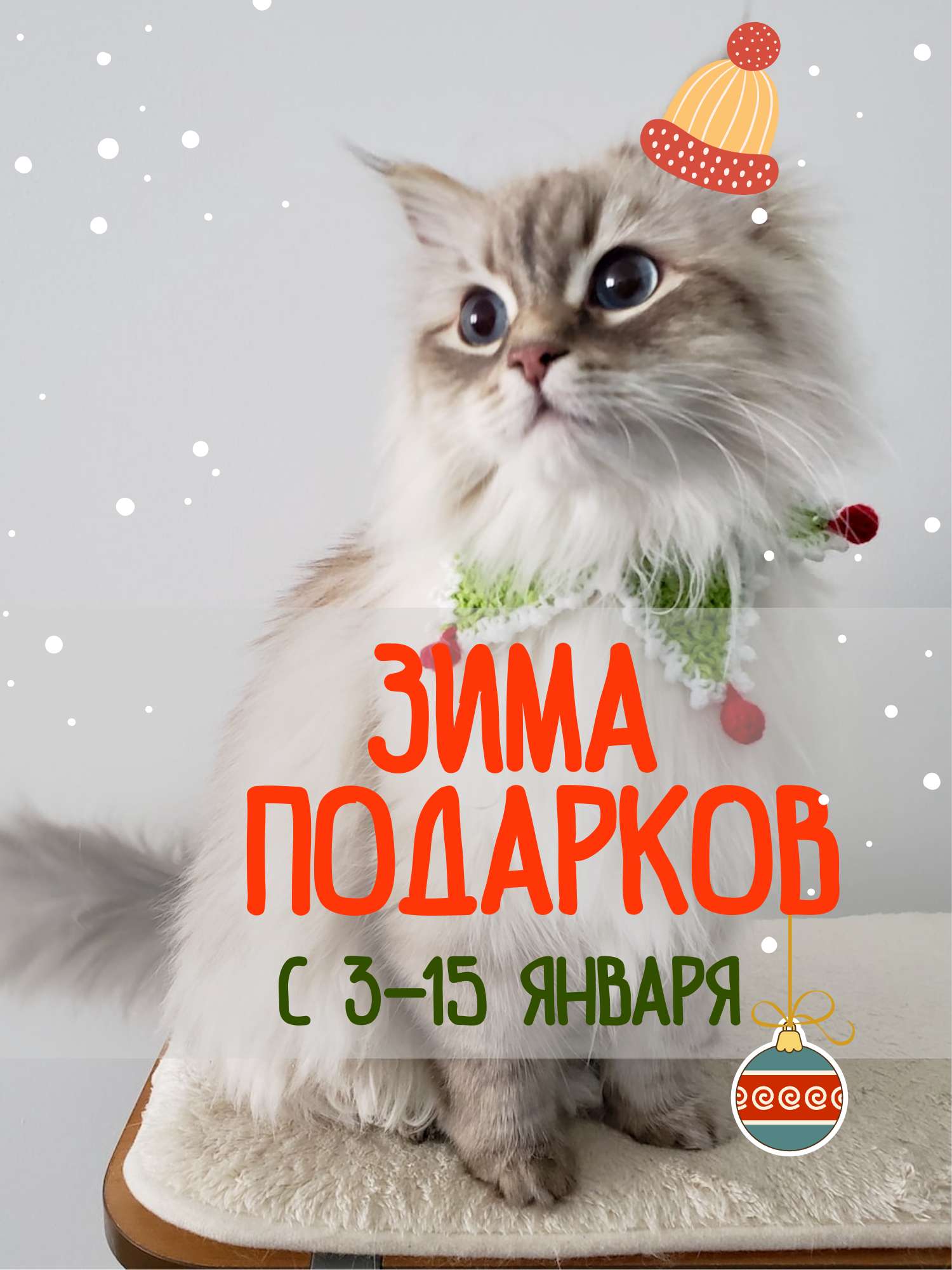 Новогодняя  Открытка - Зима подарков  на тему распродажи на светлом фоне с милым котенком