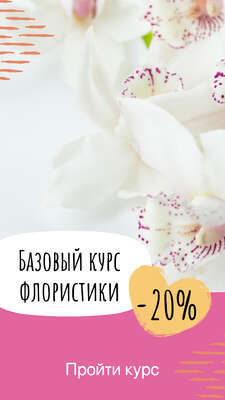 Сторис акция для курсов флористики с фото орхидей и розово белым фоном