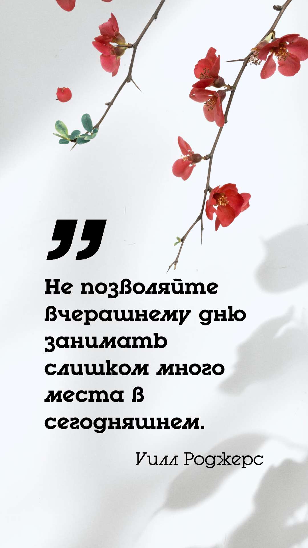 Современная история Вконтакте для мотивационной фразы с изображением цветов на сером фоне