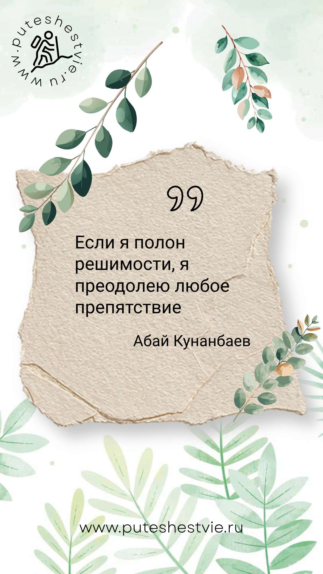 Стильная история ВКонтакте с вдохновляющей фразой и изображением ветвей на светлом фоне