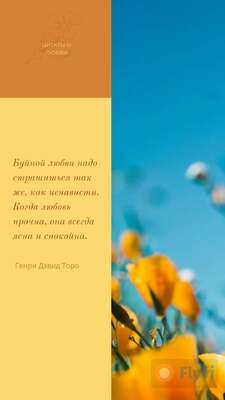 Красивая сторис цитата о любви на ярко-желтом фоне с контрастным синим небом и желтыми цветами на траве