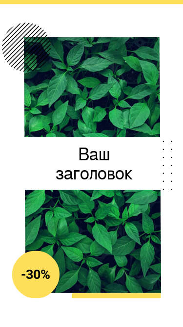 Сторис с зеленой листвой для продажи натуральных эко товаров в Инстаграм