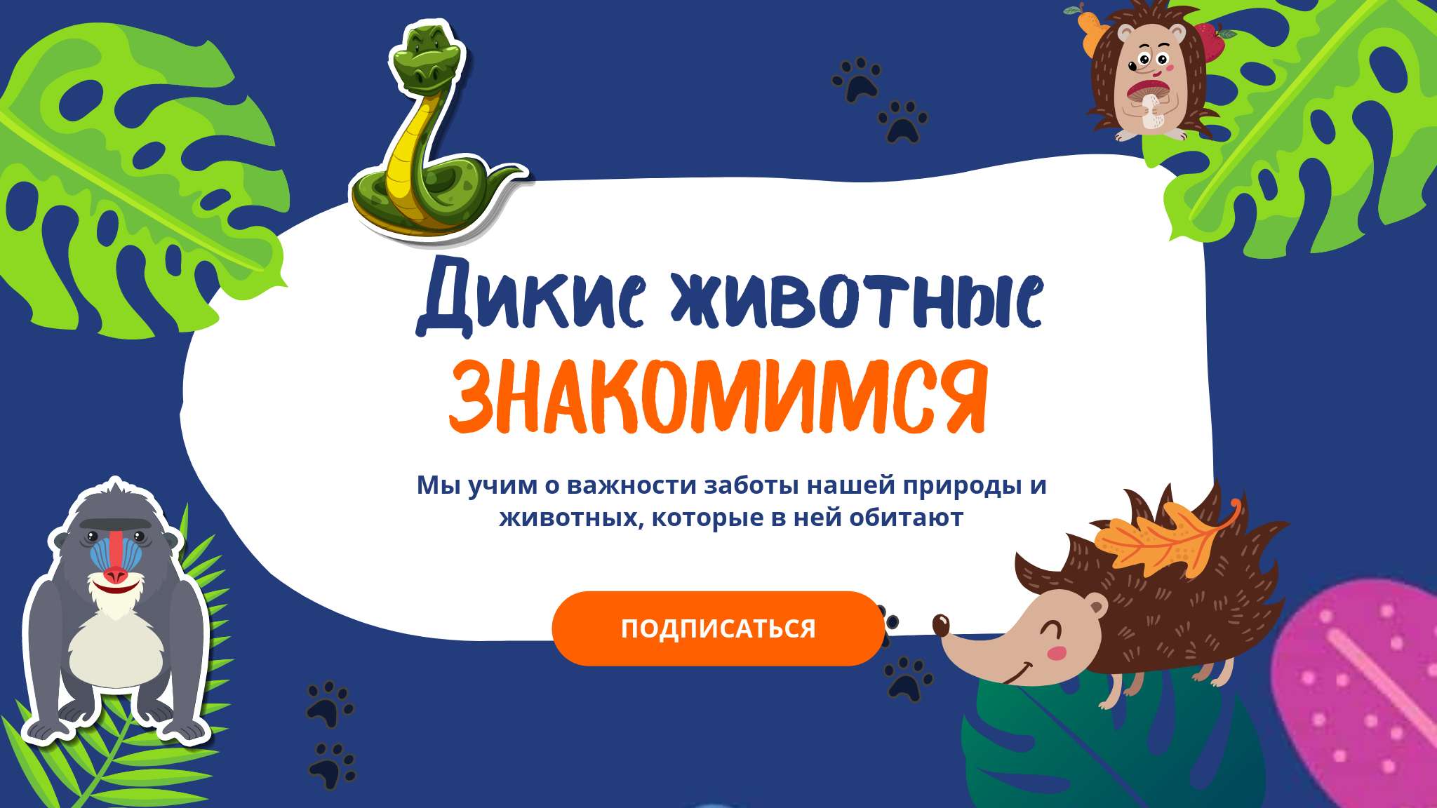 Синяя оранжевая белая иллюстративная  зеленая обложка YouTube канала о диких животных