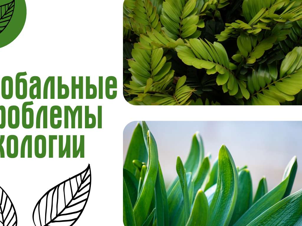 Зеленый яркий шаблон презентации на тему экологии