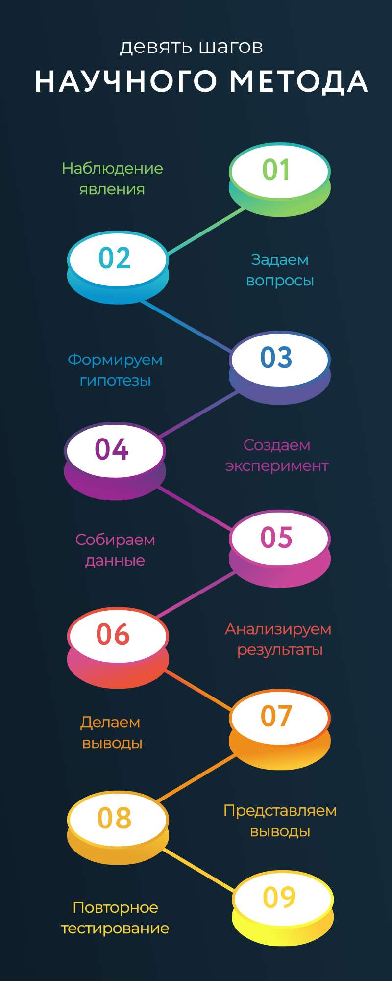 Яркая и сочная инфографика девять шагов научного метода