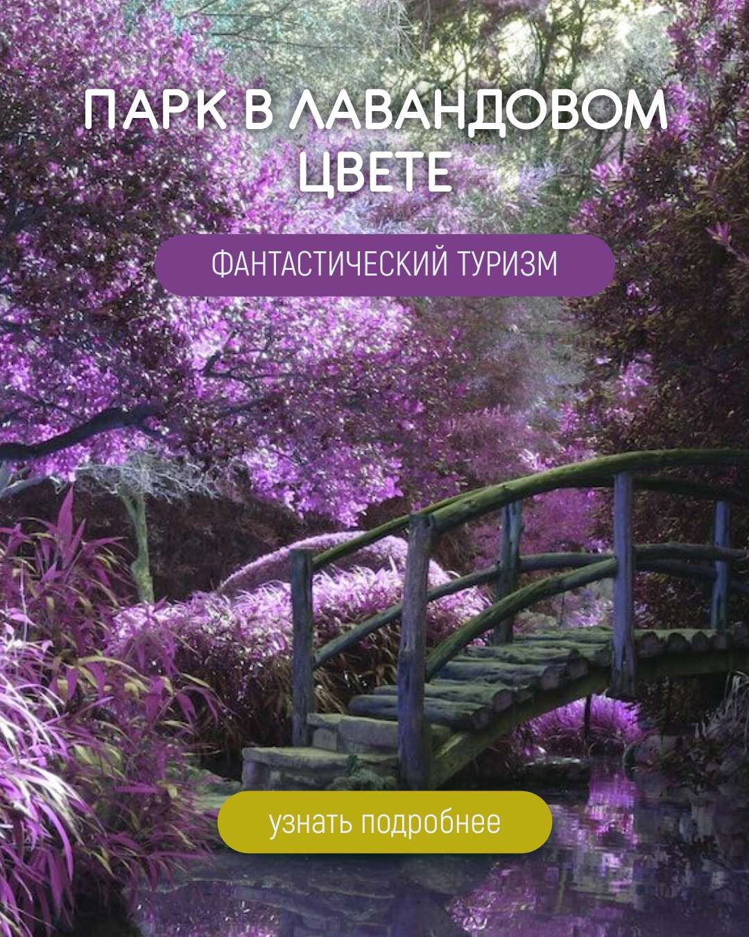 VK Реклама в фиолетовом дизайне, тема туризма и путешествий